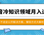 抖音冷知识领域月入过万项目，不适宜公开解决方案 ，抖音赚钱方式大解析！-大东资源库