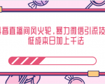 抖音直播间风火轮，暴力微信引流技术，低成本日加上千法-大东资源库