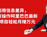 利用信息差异，零投资操作阿里巴巴最新管道项目轻松月赚10000+-大东资源库