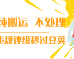 抖音纯搬运 不处理 小技巧，30秒发一个作品，避免违规评级秒过豆荚-大东资源库