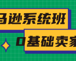 亚马逊系统班，专为0基础卖家量身打造，亚马逊运营流程与架构-大东资源库