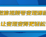 微信视频号变现项目，0粉丝冷启动项目和十三种变现方式-大东资源库