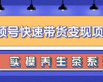 柚子视频号带货实操变现项目，零基础操作养身茶月入10000+-大东资源库