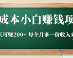 零成本小白赚钱实操项目，一天可赚200+ 每个月多一份收入来源-大东资源库