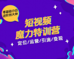 零基础小白进阶到大神《短视频魔力特训营》定位-运营-引流-变现-大东资源库