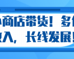 微信小商店带货，爆单多倍收入，长期复利循环！日赚300-800元不等-大东资源库