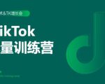 2020最新TikTok流量增长训练营（完结）附PPT-大东资源库