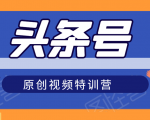 头条号原创视频特训营：一对一带你玩转短视频，新号10天日收益破252元-大东资源库