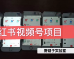 野路子小红书视频号1.0项目，直接上手操作就能赚钱的视频号项目-大东资源库