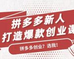 拼多多新人打造爆款创业课：快速引流持续出单，适用于所有新人-大东资源库