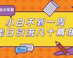 清和行记引流训练营：小白不到一周便能日引流几十精准粉-大东资源库