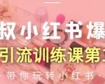 狼叔小红书爆款推广引流训练课第12期，手把手带你玩转小红书-大东资源库