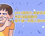 2021新风口-拼多多虚拟店：可多店批量操作，每个店一天收入在200-1000-大东资源库