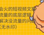 只说话就会火的短视频文案课，从根本上解决没流量的问题-大东资源库
