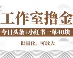工作室撸金二件套：撸今日头条原创收益+小红书一单利润40块项目-大东资源库