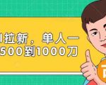 Paypal拉新赚美刀项目，单人一天利润500-1000刀【视频课程】-大东资源库