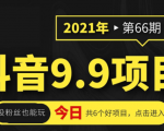 抖音9.9课程项目，没粉丝也能卖课，一天300+粉易变现-大东资源库