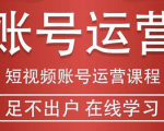 短视频账号运营课程：从话术到短视频运营再到直播带货全流程，新人快速入门-大东资源库
