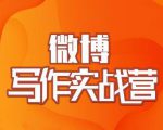 村西边老王·微博超级写作实战营，帮助你粉丝猛涨价值999元-大东资源库