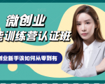 微创业全能训练营认证班课程，从理论知识与实际案例手把手指导创业新手如何从零到有-大东资源库