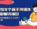 20多个新手可操作的副业赚钱项目：业余时间0基础日入几500+实操分享-大东资源库