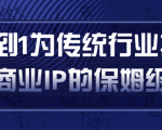 从0到1为传统行业打造抖音商业IP简单高效的保姆级攻略-大东资源库