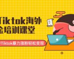 最新Tiktok海外掘金培训课堂:带你玩转Tiktok暴力涨粉轻松变现-大东资源库