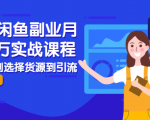 2021闲鱼副业月入过万实战课程：从开店到选择货源到引流，全程实战教学-大东资源库