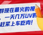 淘宝店群现在最火的视频玩法，一天几万UV的玩法，赶紧上车吃肉-大东资源库
