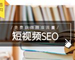未来新趋势，布局短视频SEO，如何利用抖音SEO免费获得精准流量（3节课）-大东资源库
