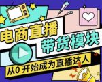 大鹏·电商直播带货课，系统学习直播带货各环节技巧和套路-大东资源库