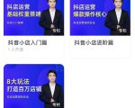 湛北·抖音小店入门进阶高阶合集，八大玩法打造百万店铺-大东资源库