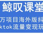 鲸叹号·海外TIKTOK训练营，百万项目海外版抖音tiktok流量变现玩法-大东资源库