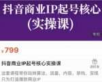 抖音商业IP起号核心实操课，带你玩转算法，流量，内容，架构，变现-大东资源库