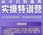 Seven漆·2022Tiktok从小白到精英实操特训营，带你掌握Tiktok账号运营-大东资源库