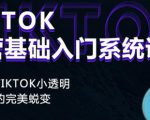 Tiktok实操进阶课程，体验从tiktok小透明到大佬的完美蜕变-大东资源库