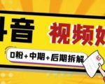 （燃烧好物）抖音视频好物分享实操课程（0粉+拆解+中期+后期）-大东资源库