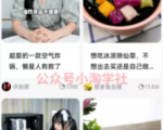 京东视频带货项目分享，发视频就能操作赚钱-大东资源库