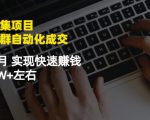 虚拟图集项目：矩阵站群自动化成交，3-5个月实现快速赚钱月入1W+左右-大东资源库