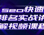 seo快速排名实战讲解视频课程，揭秘seo快排原理-大东资源库