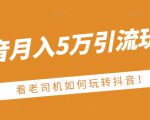 老古董·抖音月入5万引流玩法，看看老司机如何玩转抖音(附赠：抖音另类引流思路)-大东资源库