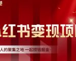 渣圈学苑·小红书虚拟资源变现项目，一起捞钱掘金价值1099元-大东资源库