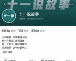 十一说故事·故事性中视频，观众快速共鸣从而快速变现的中视频玩法-大东资源库
