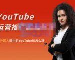 外国人眼中的YouTube该怎么玩？Elisa·YouTube运营推广实战技巧-大东资源库