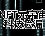 【元本空间sky七级空间唯一ibox幻藏等】NTF捡漏合集【抢购脚本+教程】-大东资源库