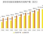 蓝海项目拼多多视频带货课，2022年入百万新风口【视频教程+软件】-大东资源库