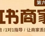 贾真-小红书商家营第6期商家版，21天带货陪跑课，让商家丢掉付流量-大东资源库