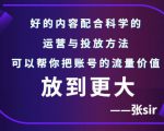 张sir账号流量增长课，告别海王流量，让你的流量更精准-大东资源库
