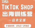 疯人院:TikTok Shop出海训练营（一店卖全球)，出海抢占全球新流量-大东资源库
