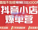 推易电商·2022年抖音小店爆单营，不直播、不拍短视频、日出1000单，暴力玩法-大东资源库